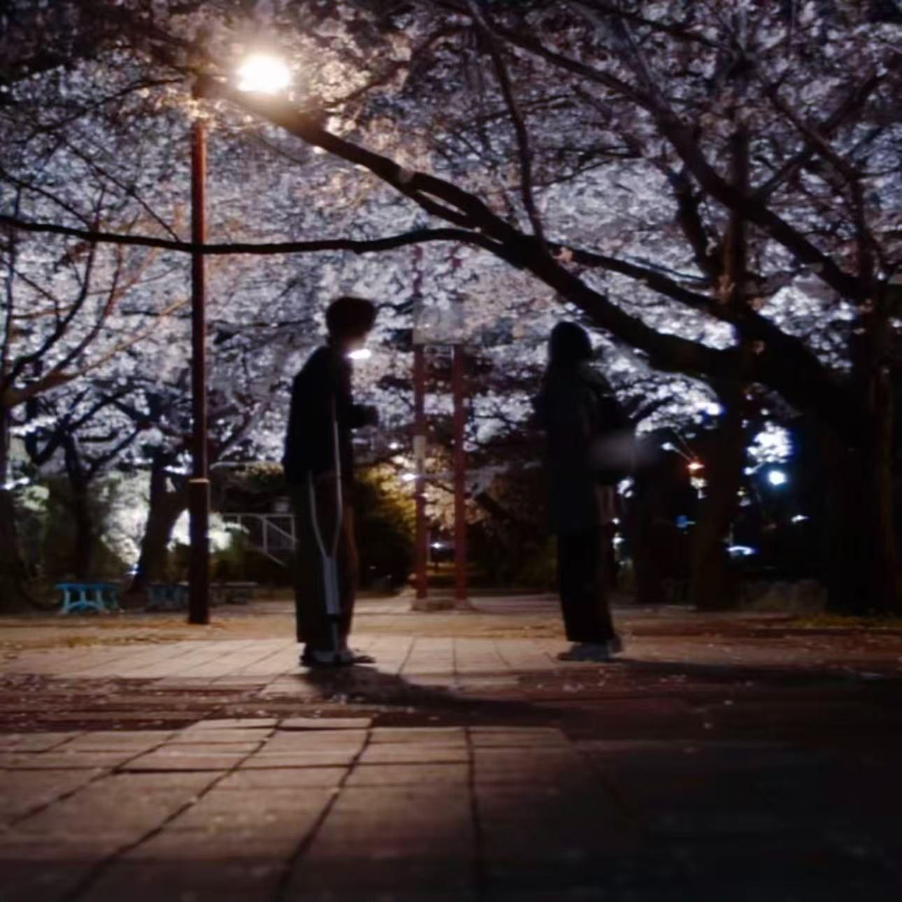 春、桜と死（春 、樱与死）