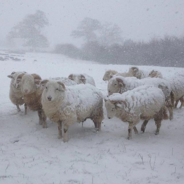 MEMORY(feat.macovaseas)