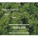 자연의 소리 (숙면, 휴식, 집중 힐링 사운드)专辑