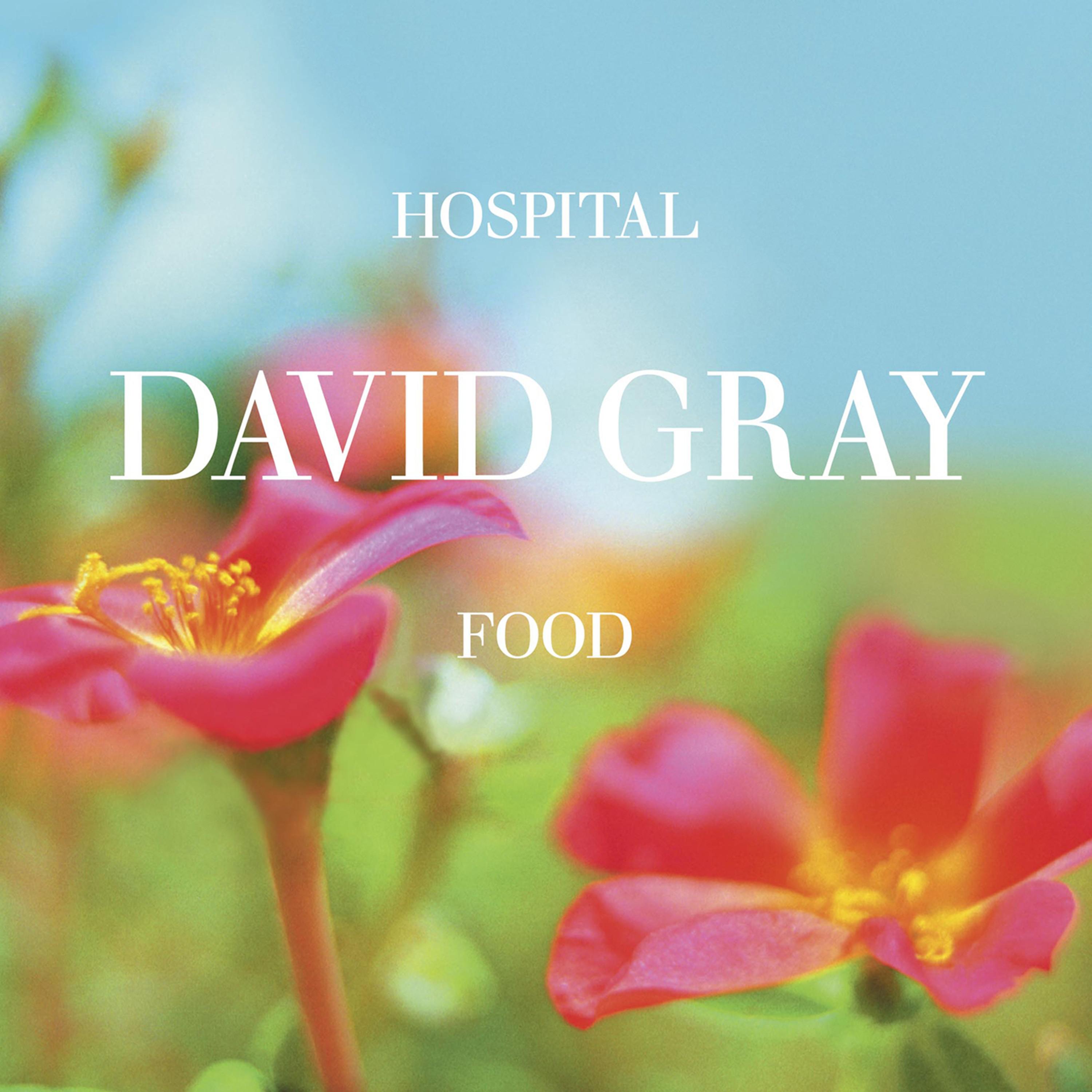 Hospital Food, Pt. 2