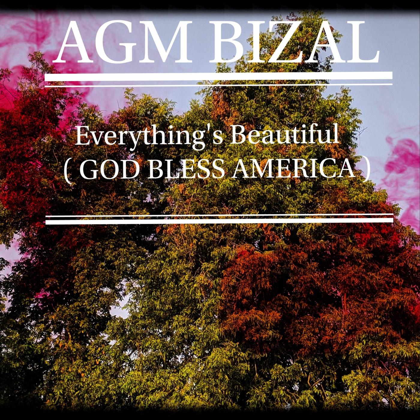 Everything's Beautiful (God Bless America)