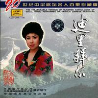 迪里拜尔-思恋(欣赏版)