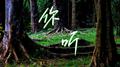 你听专辑