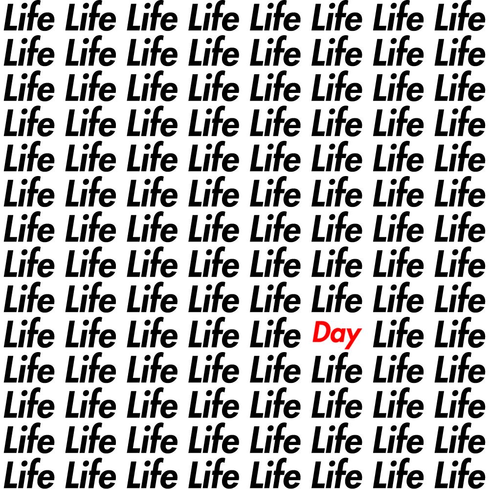 A Day In The Life