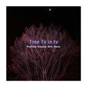 Tree Tv in tv