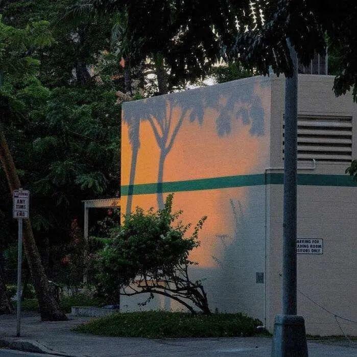远走高飞
