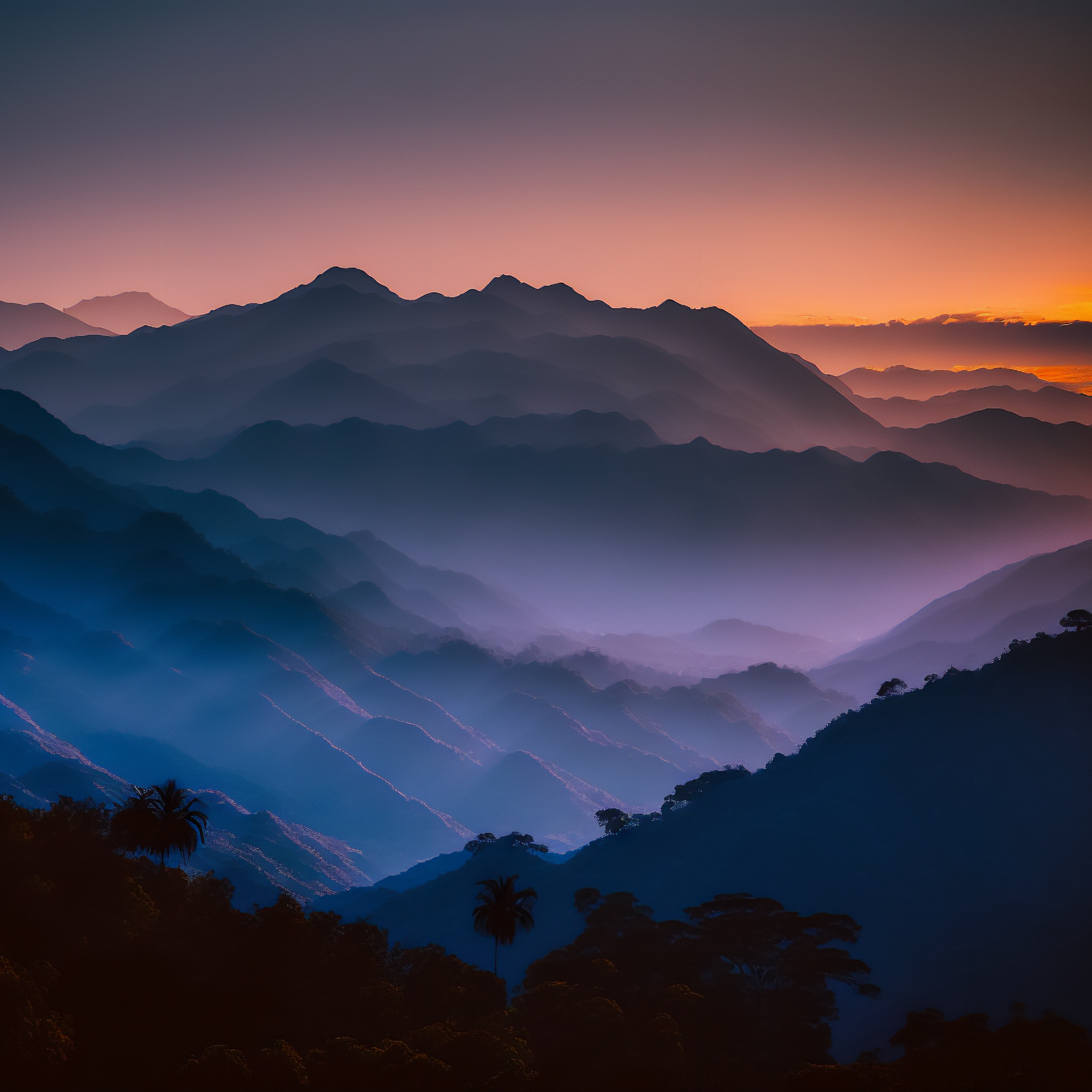 星光下的梦想