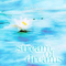 Stream of Dreams专辑