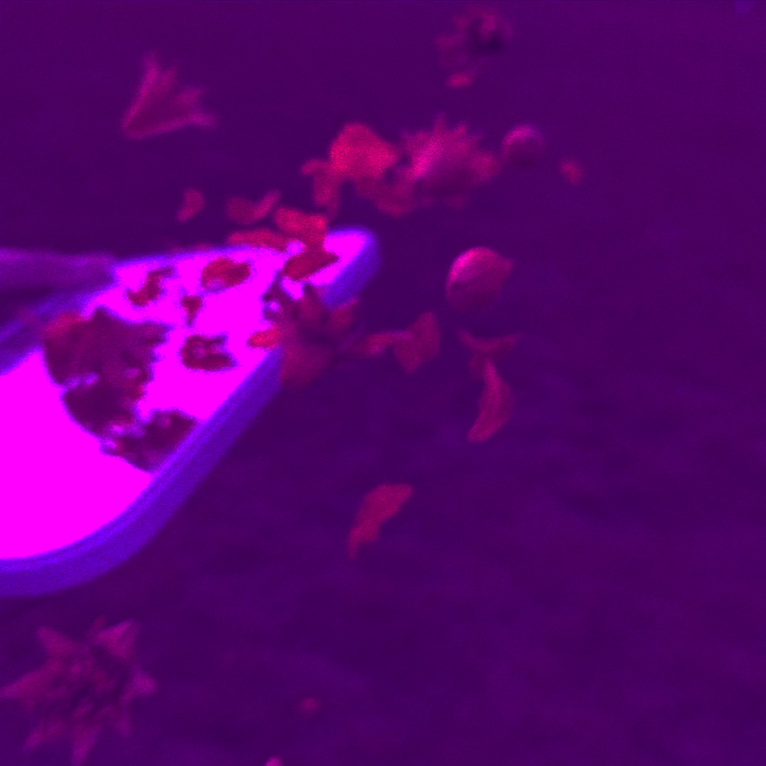 坠落FALL