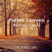 Fallen Leaves (Original Mix)