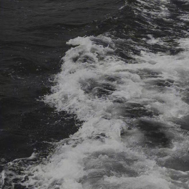 林俊杰-Always Online（SVSH remix）