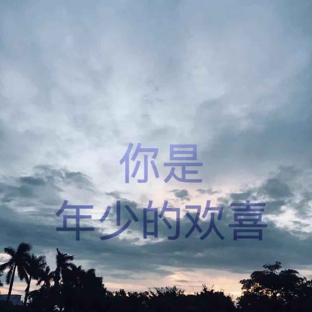 你是年少的欢喜专辑