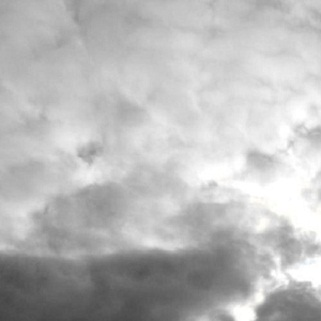 Two lovely piegies in the sky
