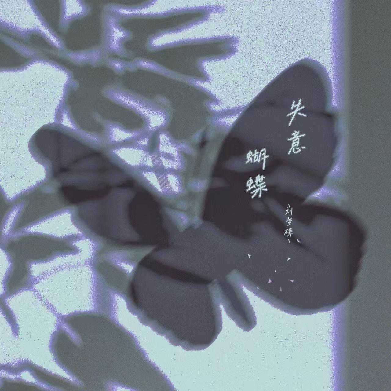 失意蝴蝶