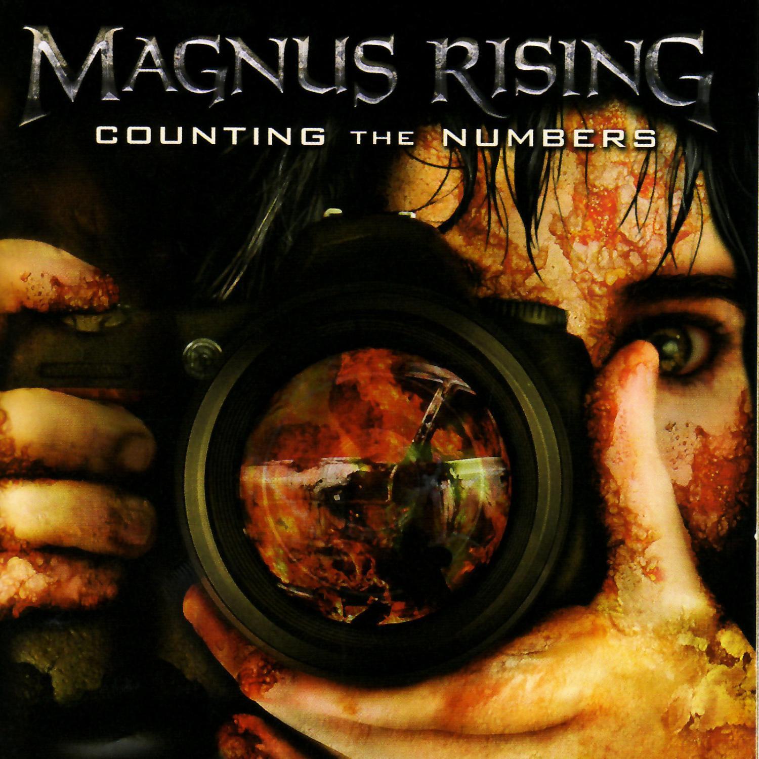 Counting the Numbers