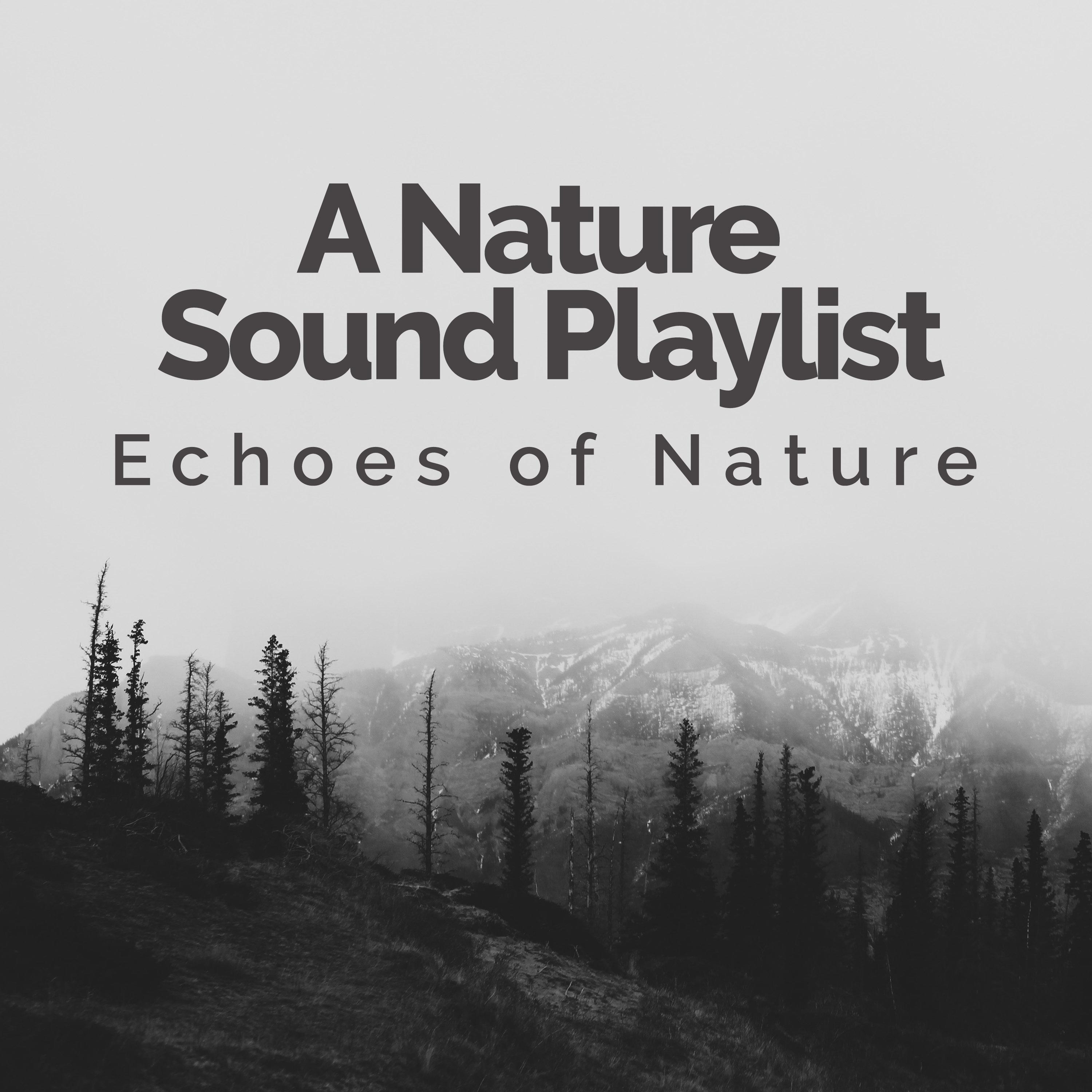 A Nature Sound Playlist