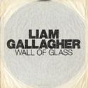 Wall Of Glass专辑