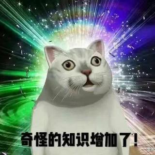 仅十首，作业杀手，钉钉神器，致敬每个学生