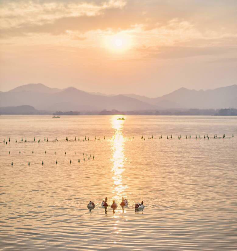 夏日海面上的夕阳专辑