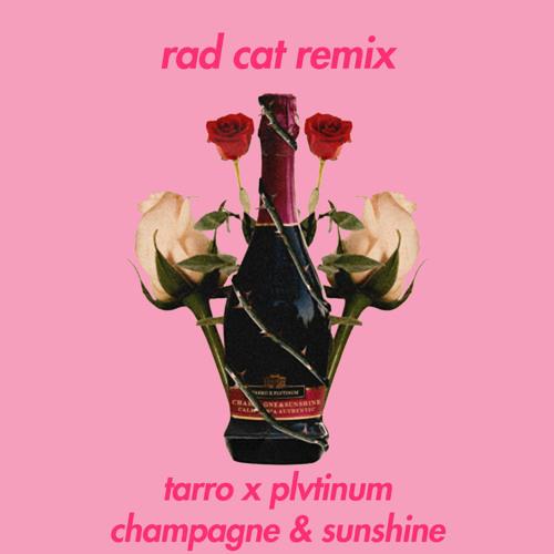 champagne & sunshine (Rad Cat Remix)专辑