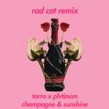 champagne & sunshine (Rad Cat Remix)专辑