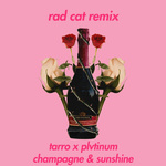 champagne & sunshine (Rad Cat Remix)专辑