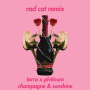 champagne & sunshine (Rad Cat Remix)