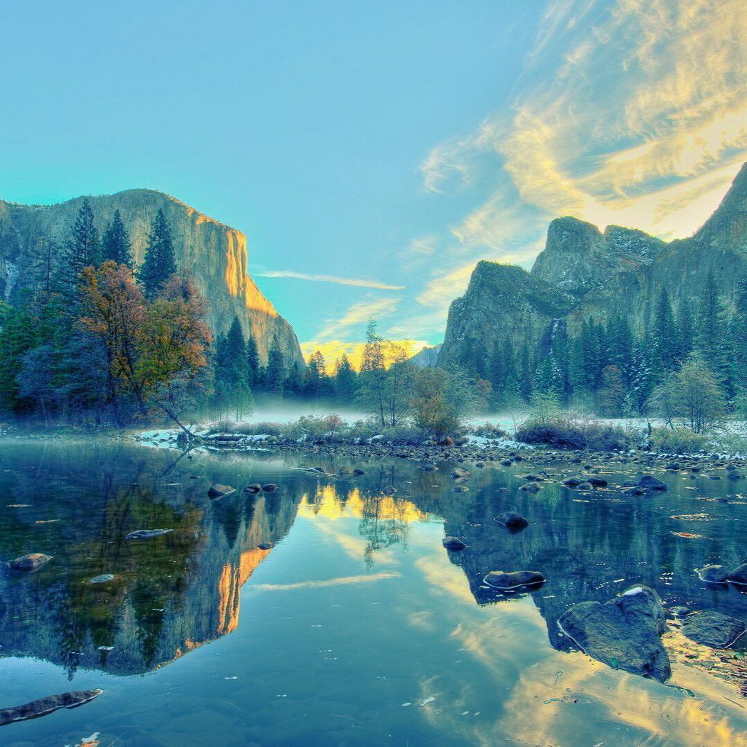 白山茶（完整版）（翻自 陈雪凝）