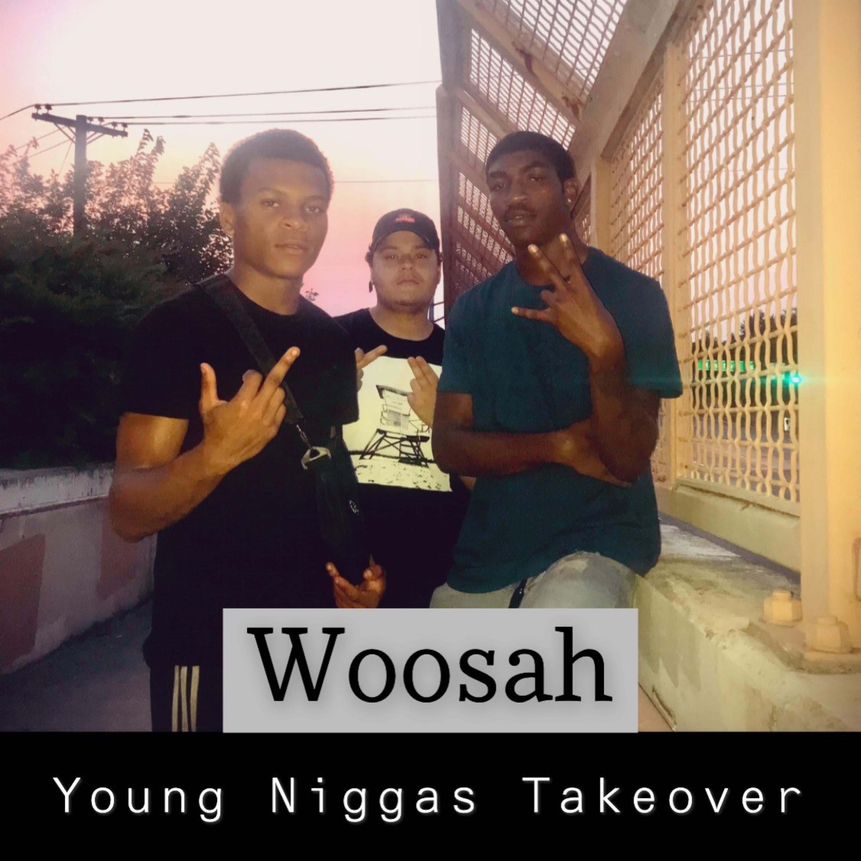 Woosah (feat. JoeWThaBlow, YNM Brando & D-Boy)