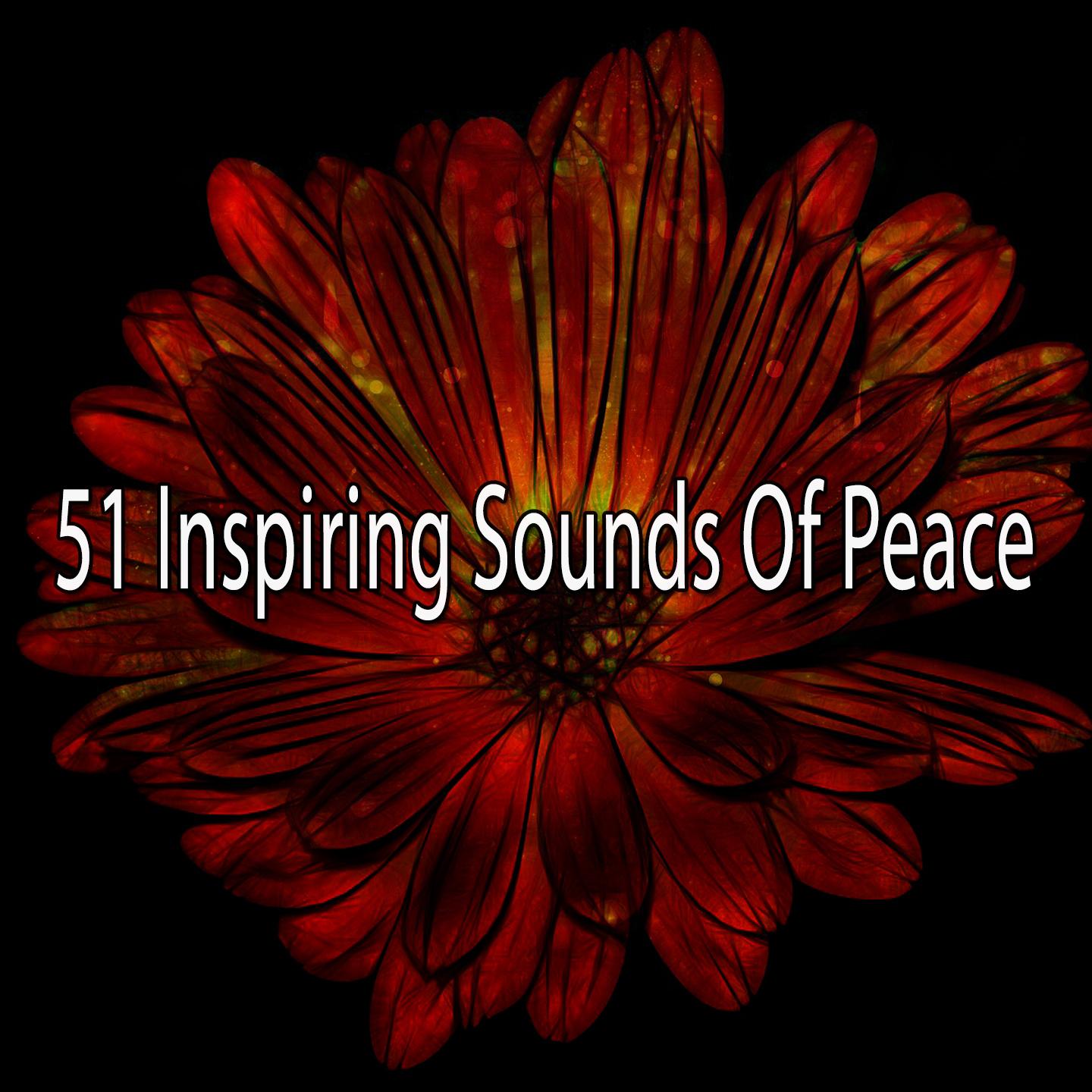 51 Inspiring Sounds Of Peace专辑