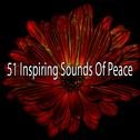 51 Inspiring Sounds Of Peace专辑