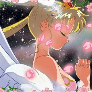 单曲循环100+次的歌儿