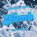 Numb (KC Lights Remix)专辑