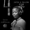 Kwazi Mojo - Catch a Falling Star (feat. Zolani Mahola)