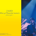 ZARD What a beautiful memory ~forever you~专辑