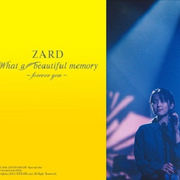 ZARD What a beautiful memory ~forever you~