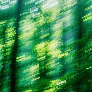 春核美学 | 坠入春潮与绿意的梦境