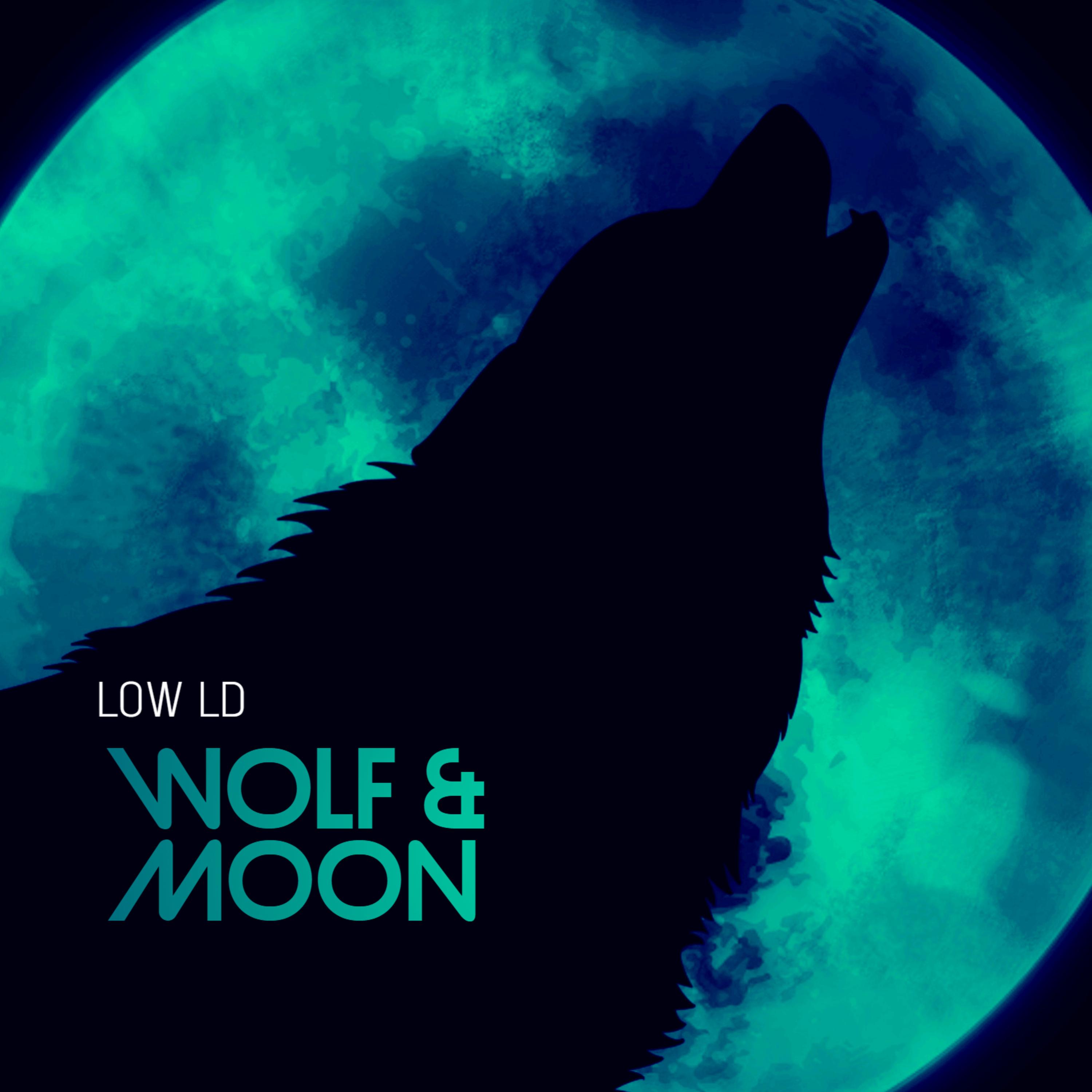 Wolf And Moon