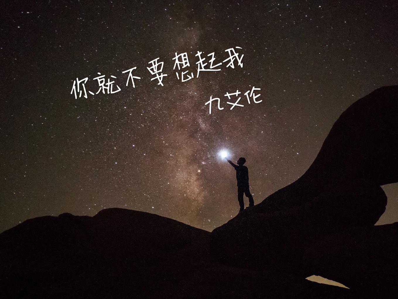 你就不要想起我专辑