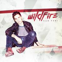 Sam Tsui-Wildfire