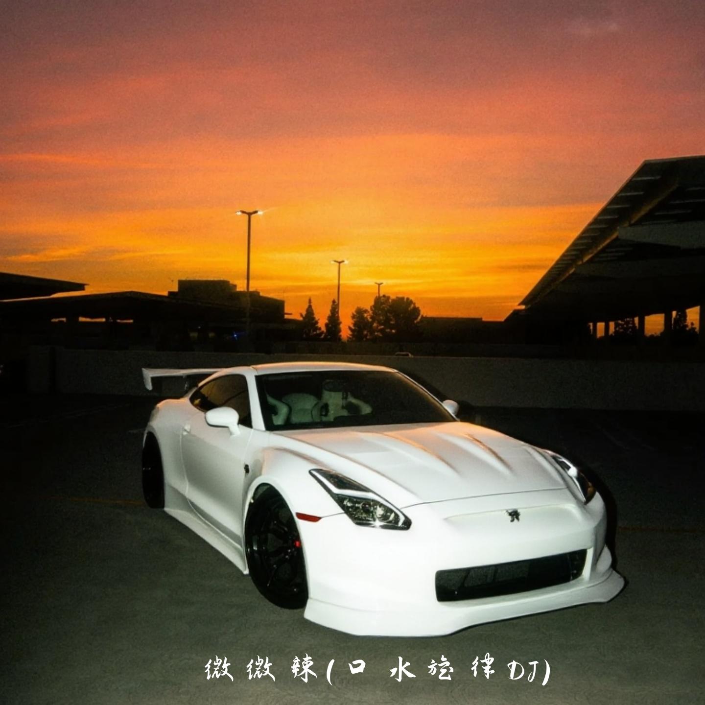 微微辣 (口水旋律dj)