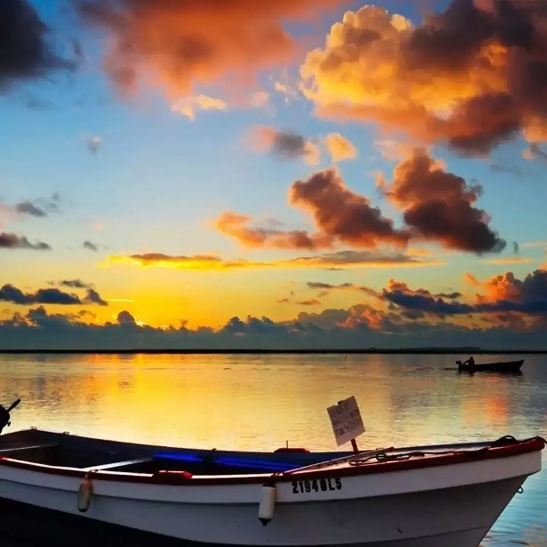 晚风(抖音火影版)