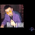 What's u name专辑