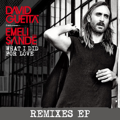 David Guetta,Emeli Sandé《What I Did For Love (VINAI Remix)吉他谱》_旋律缓缓流淌