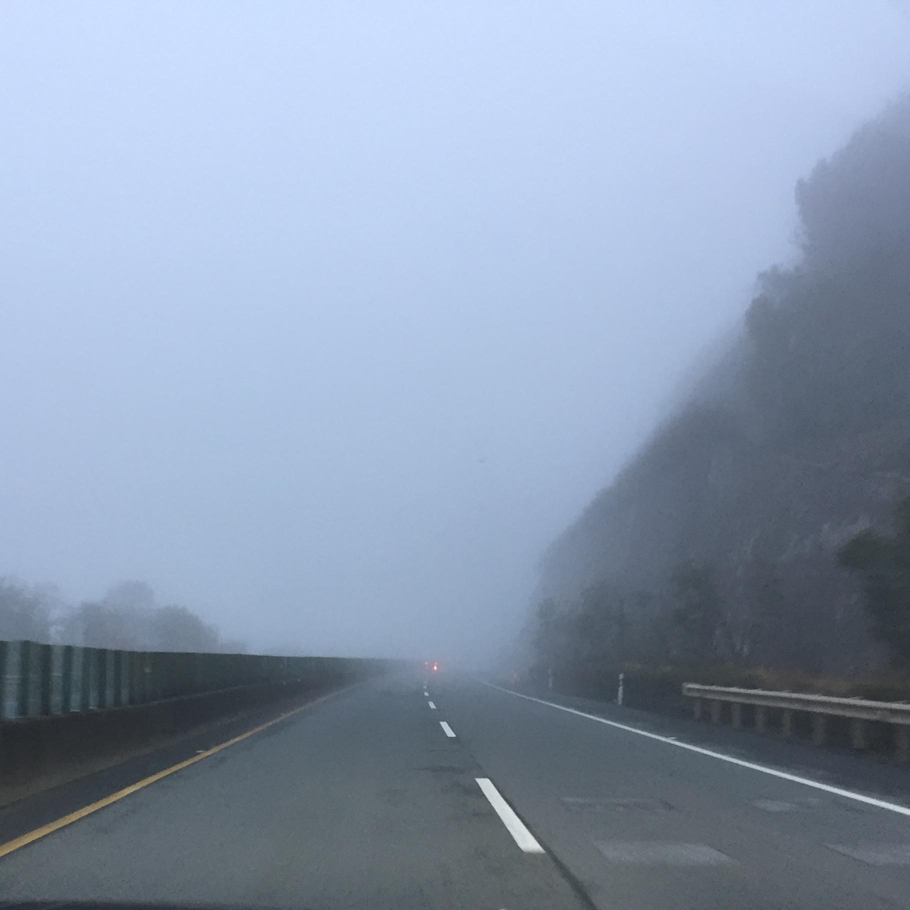 东坡之念