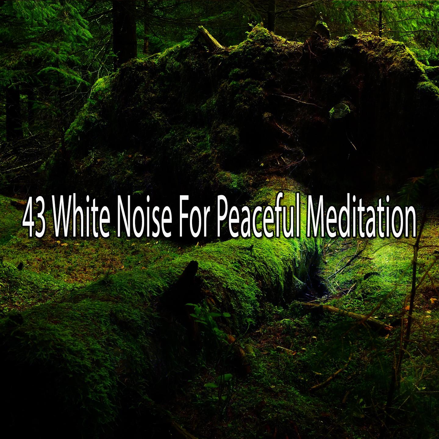 43 White Noise For Peaceful Meditation专辑