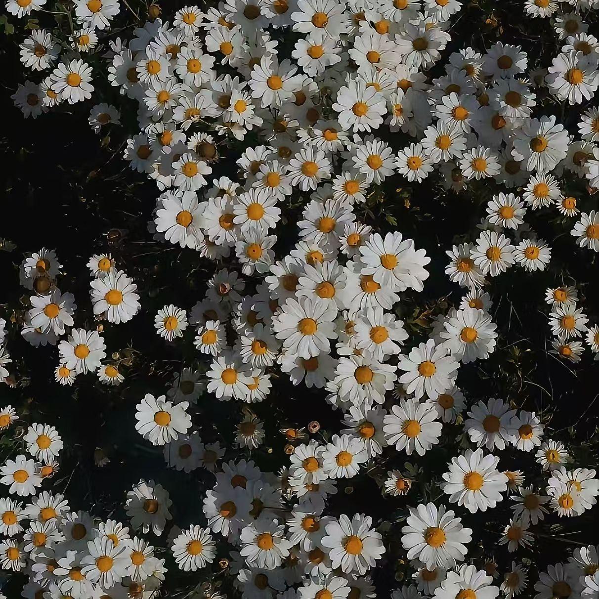 沉鱼羞花[www.♡♡♡.com]