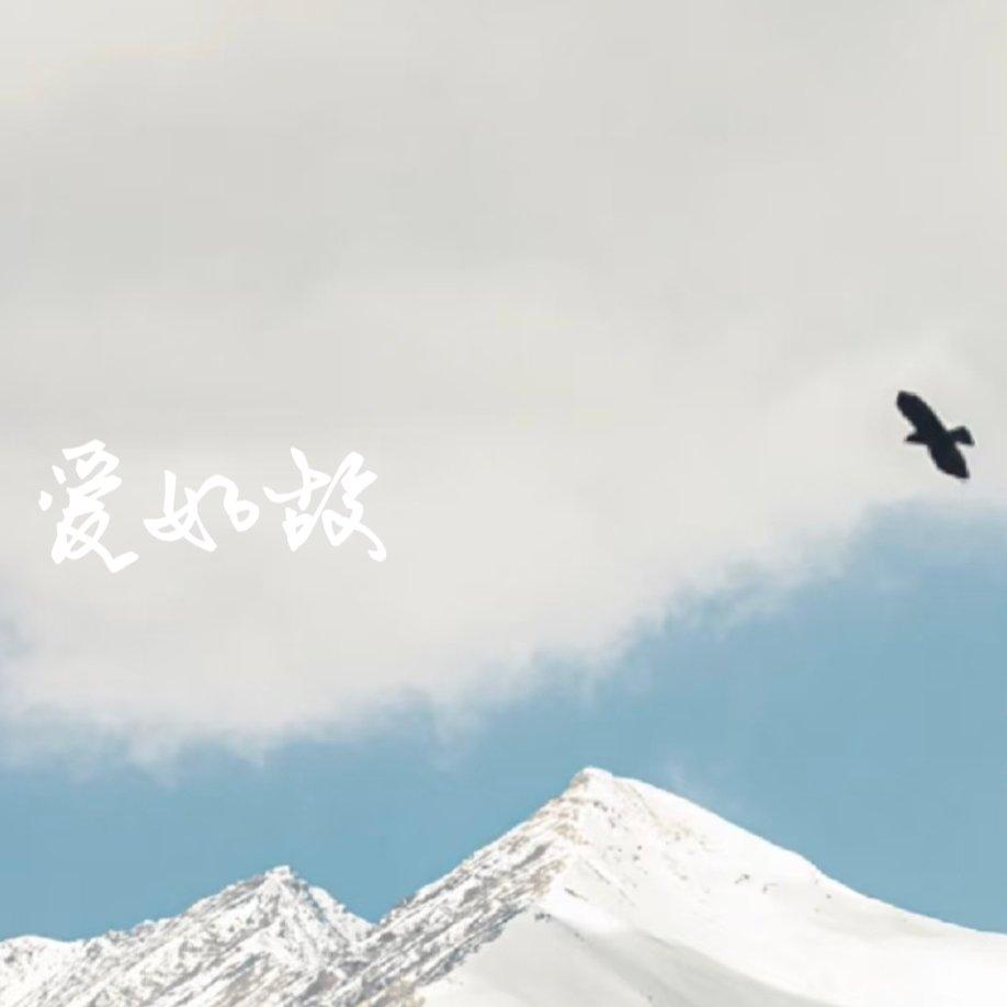 爱如故
