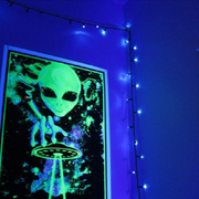 takeme2urdealer