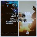 What We Live For Can't Feel My Face(Ada_& Mashup)